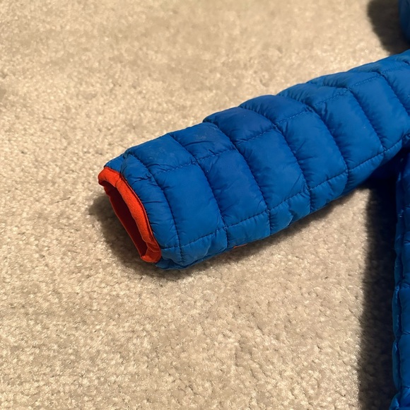 18M Snow Bunting - Picture 6 of 7